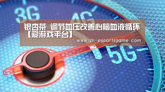 银杏茶 调节血压改善心脑血液循环【爱游戏平台】(图2) 爱游戏下载