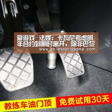 爱游戏-法媒:卡瓦尼考虑明年合约到期时离开,除非巴黎与其顶薪续约(图4) 爱游戏