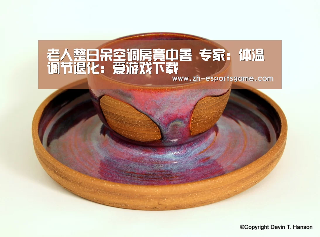 老人整日呆空调房竟中暑 专家:体温调节退化:爱游戏下载(图2) 爱游戏